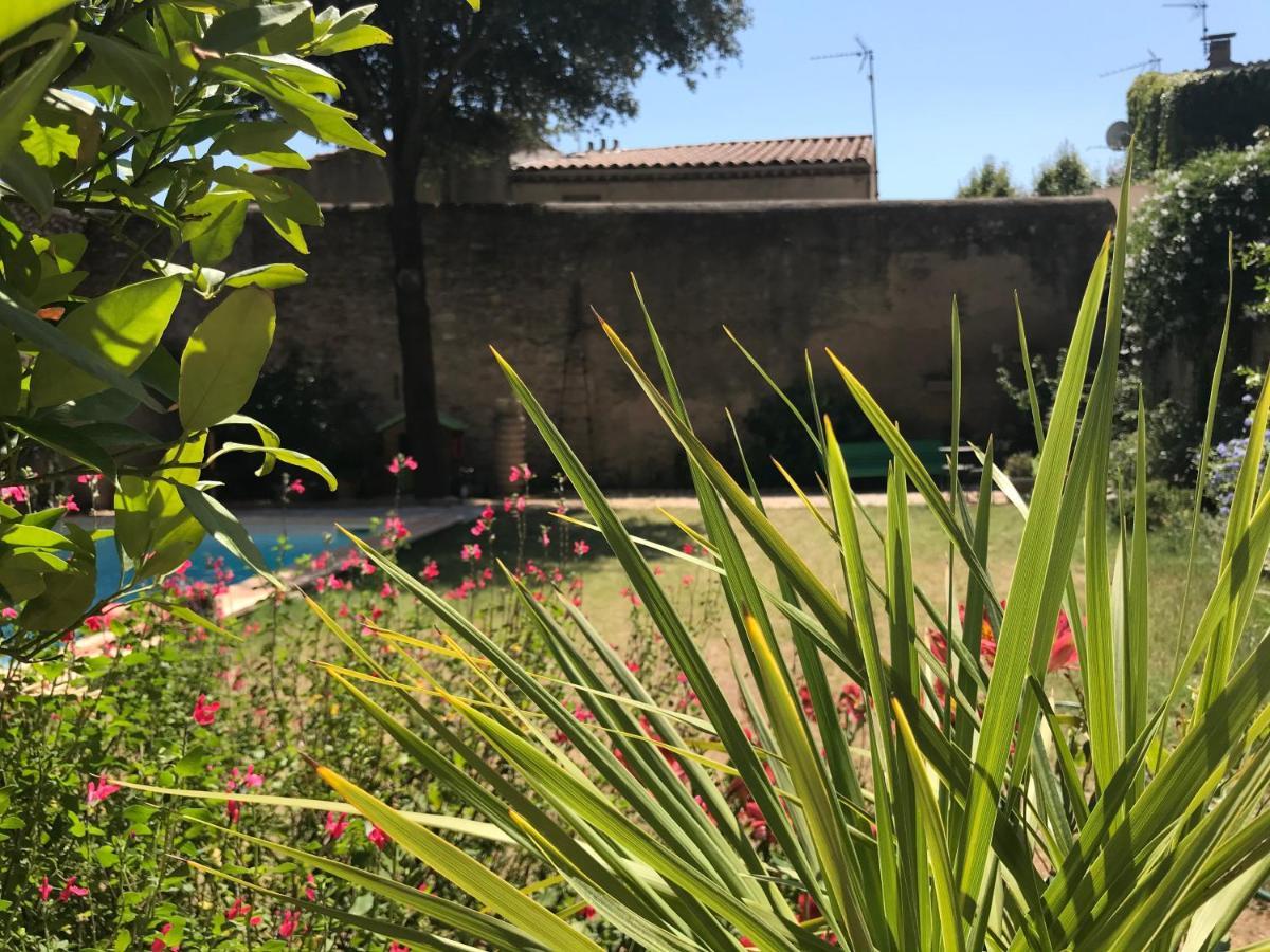 L'Androune Fabrezan Bagian luar foto